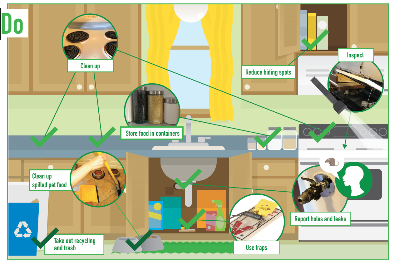 Stop Mice! picture-based guide